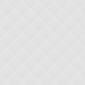 02 Precious Lavender Tulips