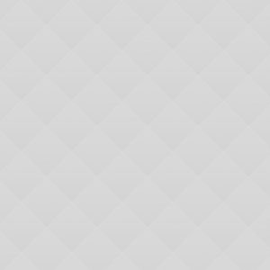 03 Gift Boxed White Roses